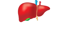 best liver transplant surgeon in india