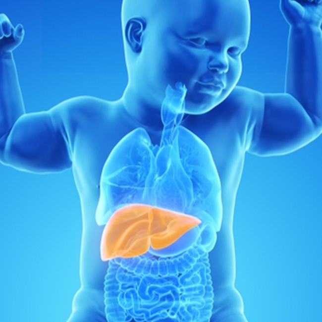 Pediatric Liver Transplant