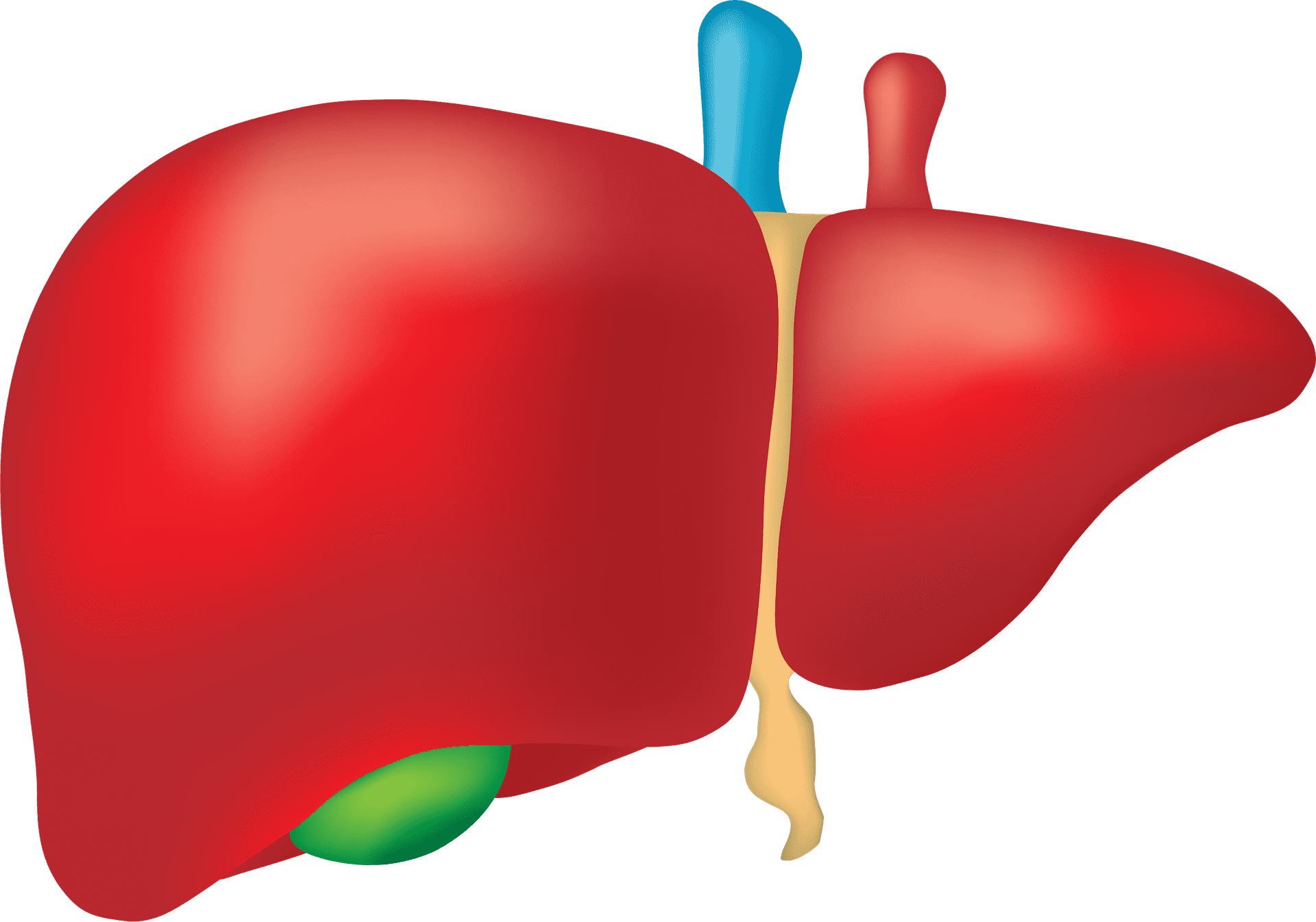 best liver transplant surgeon in india